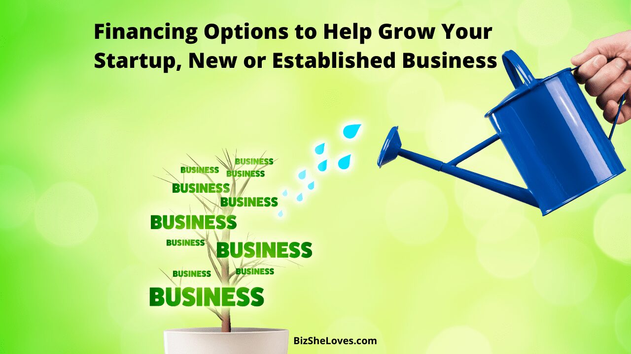 growing our businesses your dreams funding options for startups